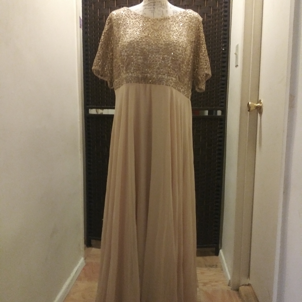 Champagne dress with sparkly lace bodice